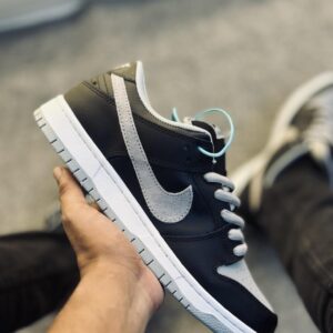 SB Dunk Low Shadow